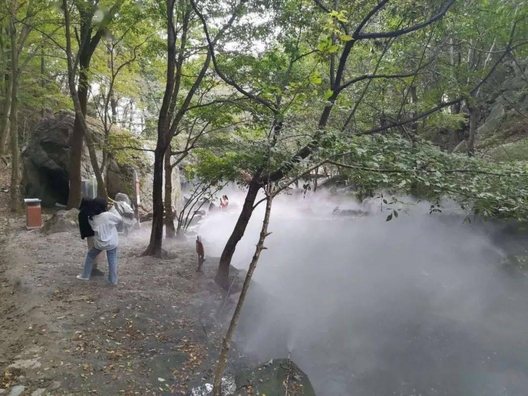 “谢谢热心的重庆人!”广州旅客不慎丢失电脑,幸好遇到耿直公交司机……
