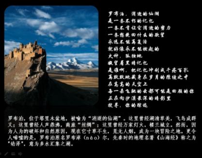 寻找迷路的松鼠