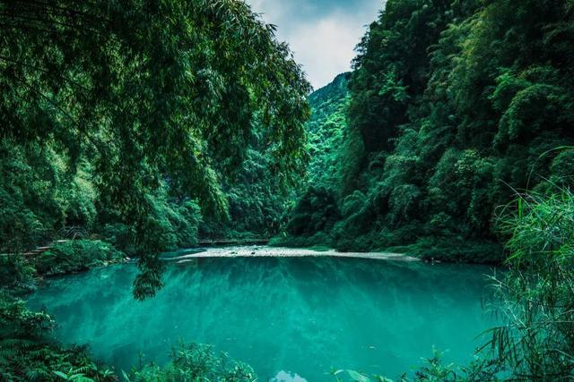 逃离森林湖畔
