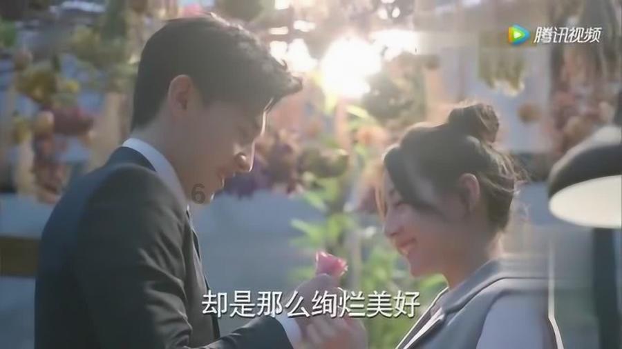 小长颈鹿逃离
