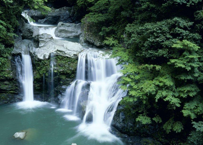 【两会·黔言】龙秀琴委员：建议加快推进贵州国家植物园候选园创建工作