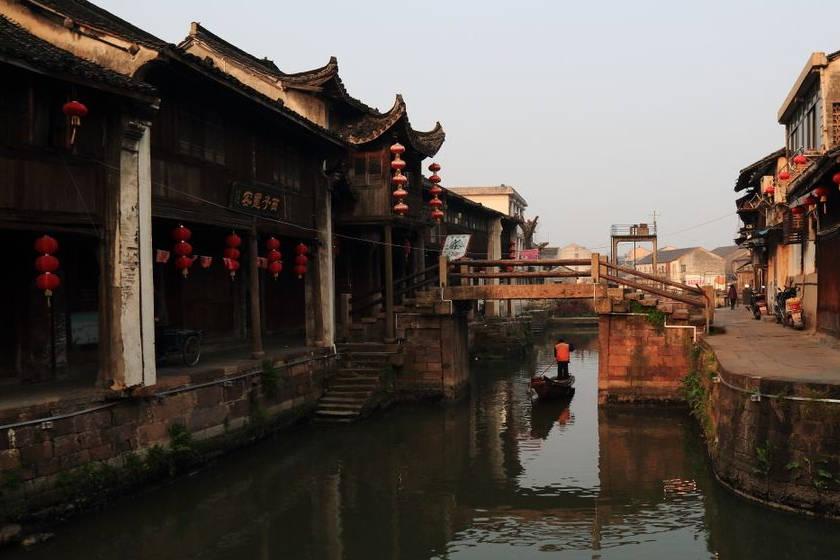 人工种楂桑黄包回收是真的吗?游戏画面